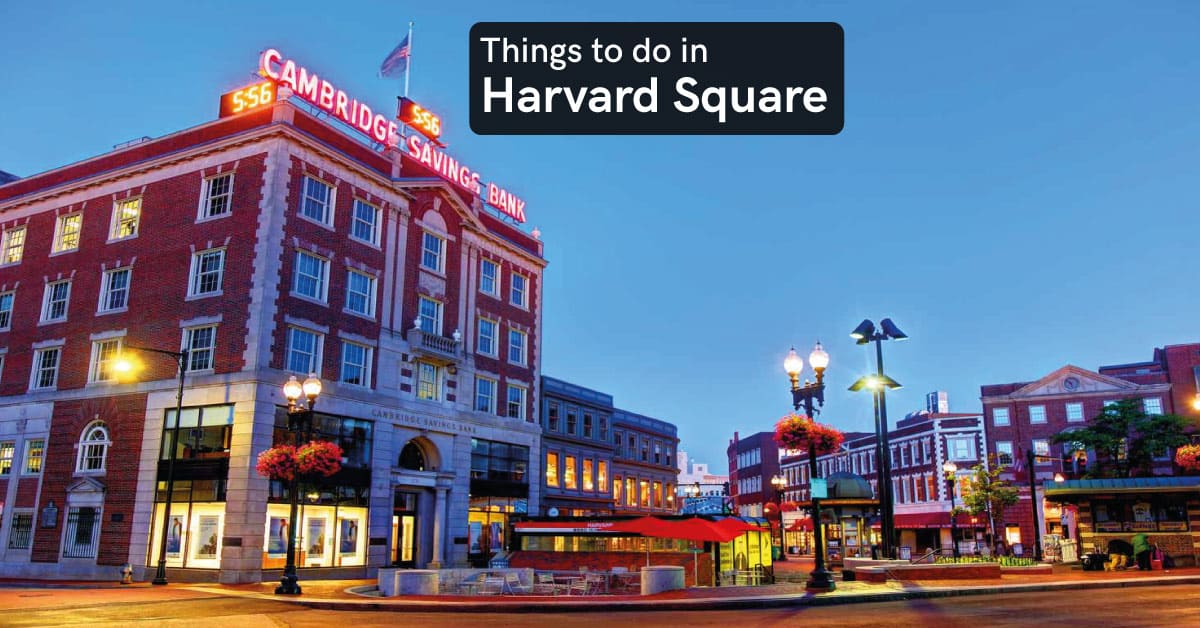 things to do in Harvard square