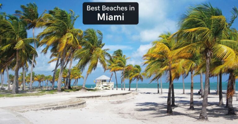 best beaches in miami