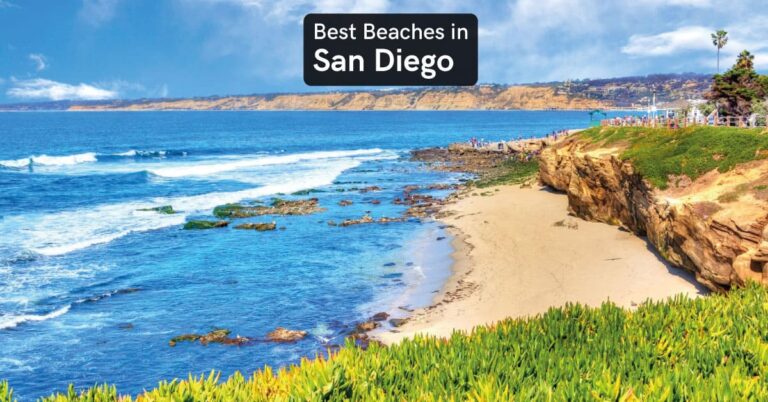 best beaches in san diego