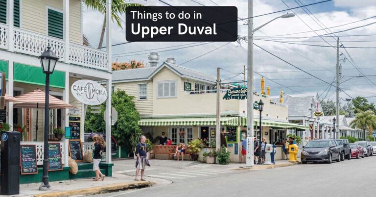 things to do in Upper Duval
