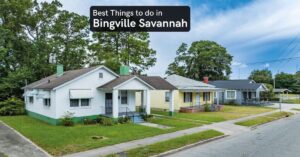 things to do in Bingville savannah