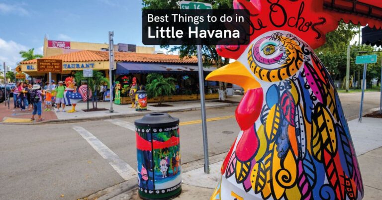 things to do in little havana