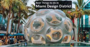 things to do in miami design district