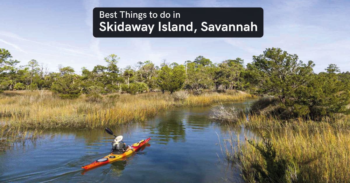 things to do in skidaway island