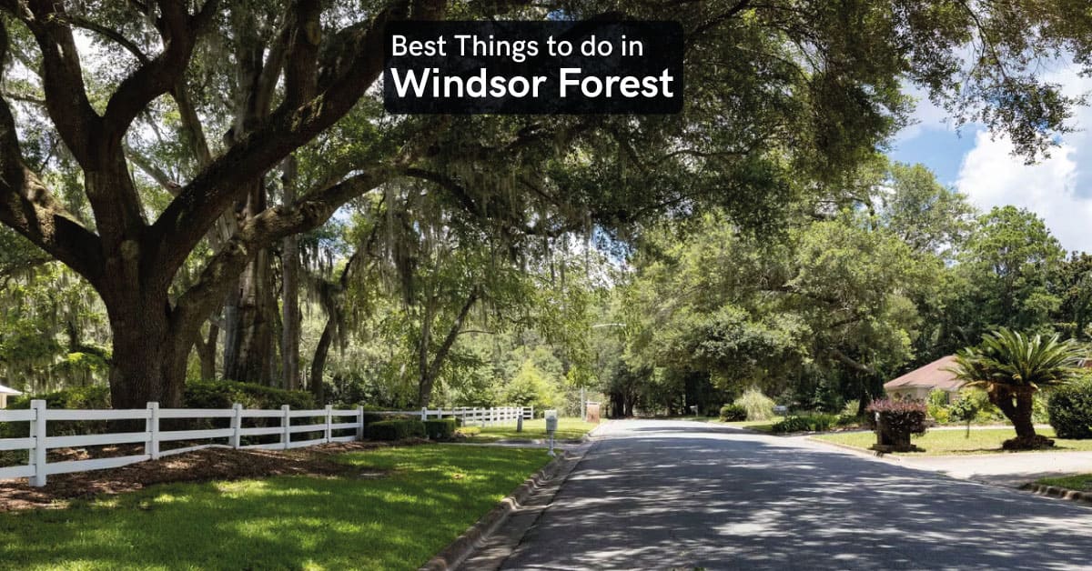 things to do in windsor forest savannah